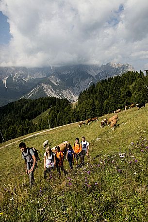 Trekking in Carnia